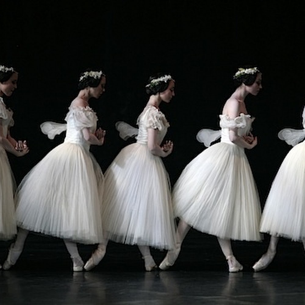 Meet your Posher, Noelle